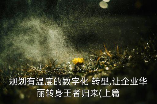 規(guī)劃有溫度的數(shù)字化 轉型,讓企業(yè)華麗轉身王者歸來(上篇