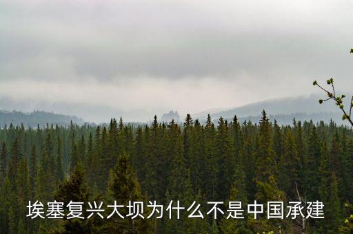 埃塞復(fù)興大壩為什么不是中國承建