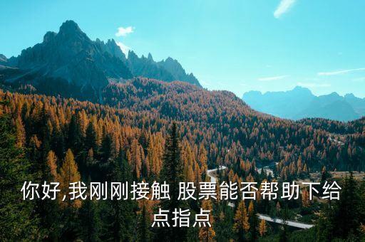 你好,我剛剛接觸 股票能否幫助下給點(diǎn)指點(diǎn)