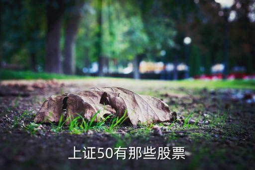 上證50有那些股票