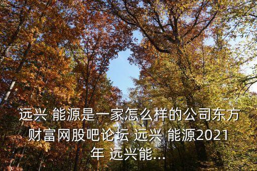  遠興 能源是一家怎么樣的公司東方財富網股吧論壇 遠興 能源2021年 遠興能...