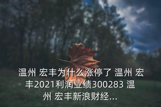  溫州 宏豐為什么漲停了 溫州 宏豐2021利潤業(yè)績300283 溫州 宏豐新浪財(cái)經(jīng)...