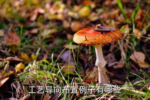 工藝導(dǎo)向布置例子有哪些