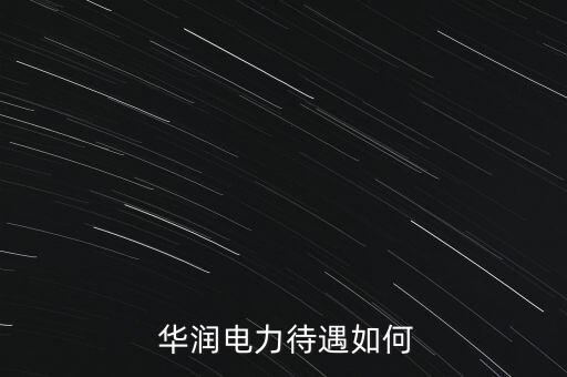 南京華潤集團電廠部,華潤集團仙桃電廠