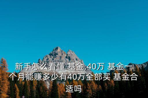 新手怎么看懂 基金,40萬 基金一個(gè)月能賺多少有40萬全部買 基金合適嗎