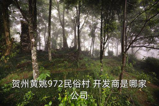 賀州黃姚972民俗村 開(kāi)發(fā)商是哪家公司