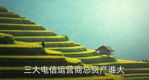 13年中國(guó)電信年報(bào),中國(guó)電信2022年年報(bào)分析