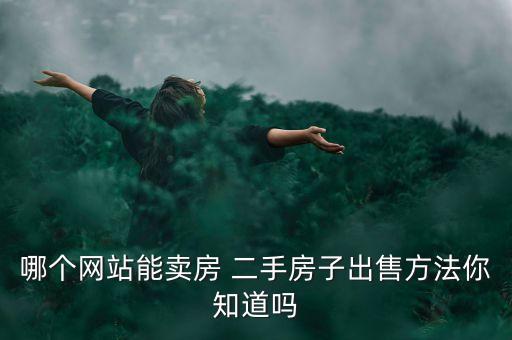 哪個(gè)網(wǎng)站能賣(mài)房 二手房子出售方法你知道嗎