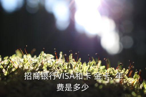  招商銀行VISA和卡 金卡, 年費是多少