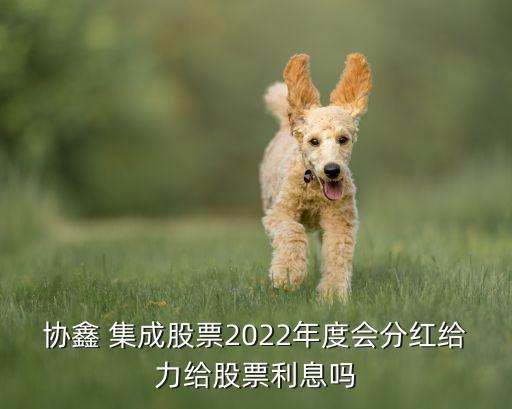 協(xié)鑫 集成股票2022年度會(huì)分紅給力給股票利息嗎