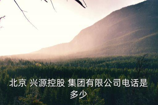 北京 興源控股 集團有限公司電話是多少