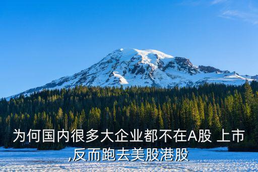 為何國(guó)內(nèi)很多大企業(yè)都不在A股 上市,反而跑去美股港股