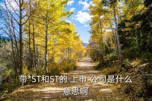 帶*ST和ST的 上市 公司是什么意思啊