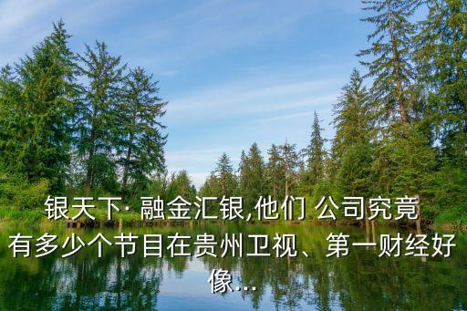 銀天下· 融金匯銀,他們 公司究竟有多少個節(jié)目在貴州衛(wèi)視、第一財經(jīng)好像...