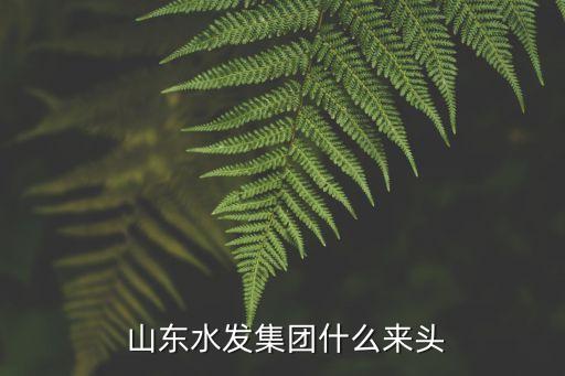 山東魯北水務(wù)發(fā)展有限公司,魯北超能新材料產(chǎn)業(yè)(山東)有限公司