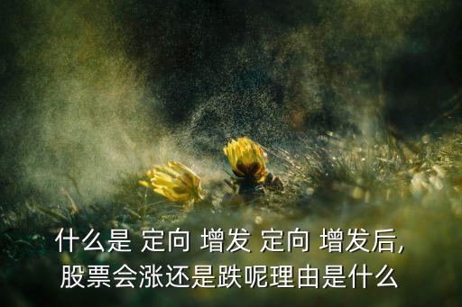 什么是 定向 增發(fā) 定向 增發(fā)后,股票會(huì)漲還是跌呢理由是什么