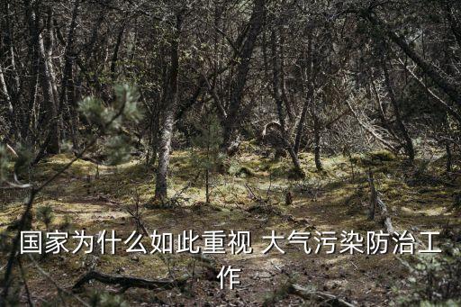 國(guó)家為什么如此重視 大氣污染防治工作