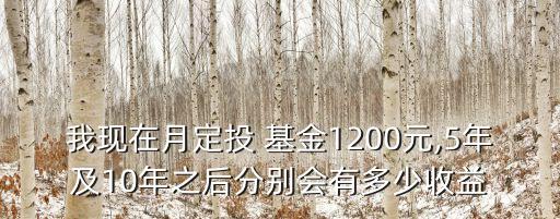 我現(xiàn)在月定投 基金1200元,5年及10年之后分別會(huì)有多少收益