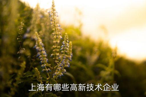 上海至正收購(gòu)公司