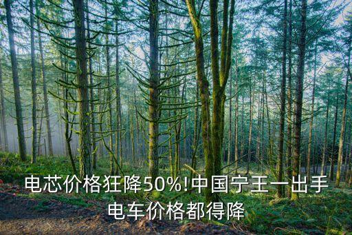 電芯價格狂降50%!中國寧王一出手電車價格都得降