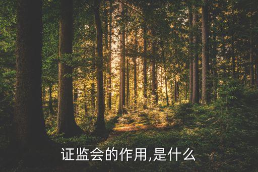 證監(jiān)會的作用,是什么