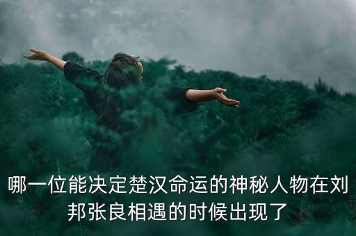 哪一位能決定楚漢命運的神秘人物在劉邦張良相遇的時候出現(xiàn)了