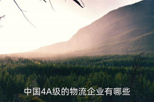 中國4A級的物流企業(yè)有哪些