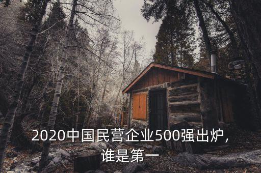 2020中國民營企業(yè)500強(qiáng)出爐,誰是第一