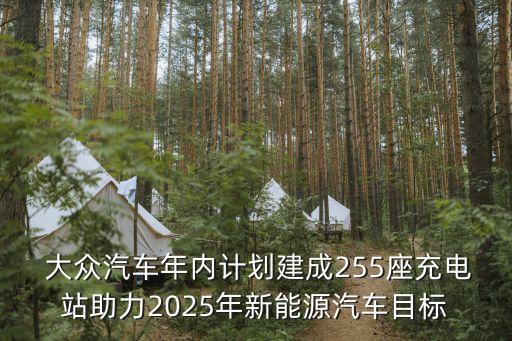  大眾汽車(chē)年內(nèi)計(jì)劃建成255座充電站助力2025年新能源汽車(chē)目標(biāo)