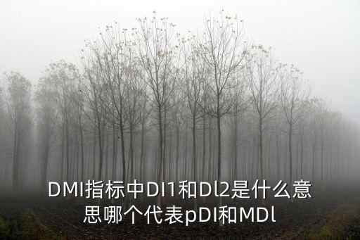 DMI指標(biāo)中DI1和Dl2是什么意思哪個(gè)代表pDI和MDl