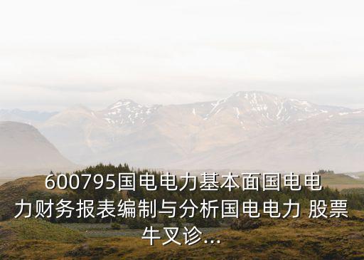  600795國電電力基本面國電電力財務(wù)報表編制與分析國電電力 股票牛叉診...