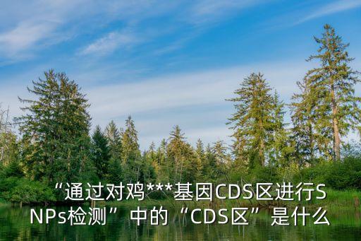 “通過對(duì)雞***基因CDS區(qū)進(jìn)行SNPs檢測(cè)”中的“CDS區(qū)”是什么