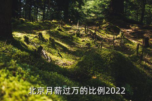  北京月薪過(guò)萬(wàn)的比例2022