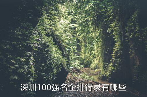 深圳100強(qiáng)名企排行錄有哪些