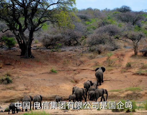 中國 電信集團(tuán)有限公司是國企嗎