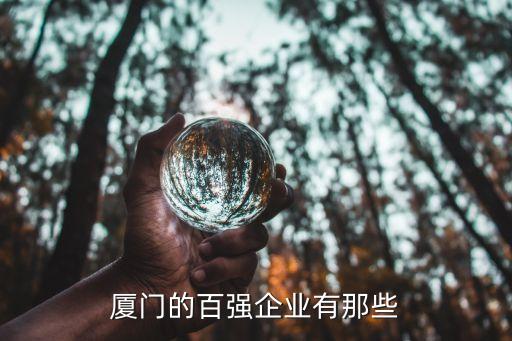 廈門的百?gòu)?qiáng)企業(yè)有那些