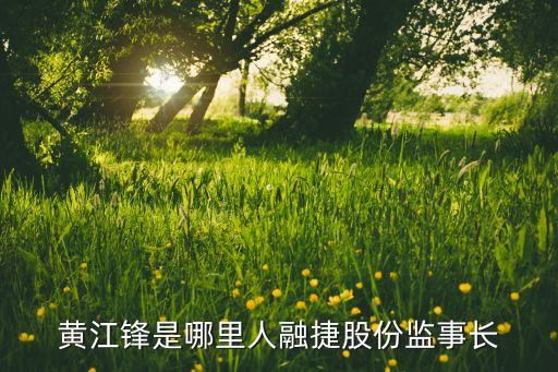 黃江鋒是哪里人融捷股份監(jiān)事長(zhǎng)