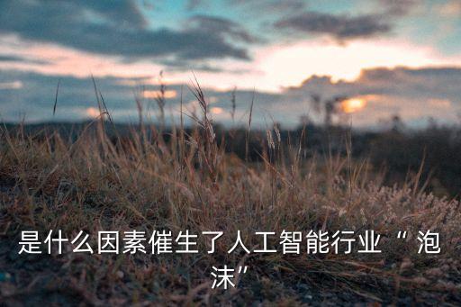 是什么因素催生了人工智能行業(yè)“ 泡沫”