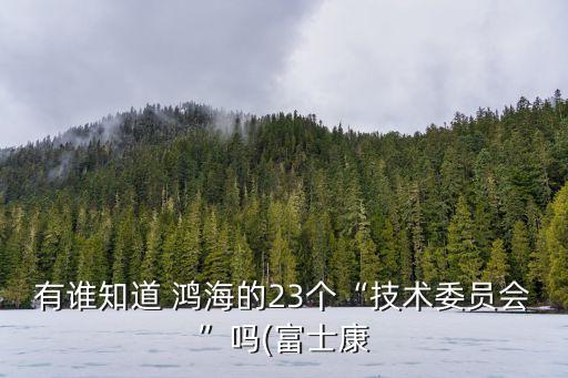 有誰知道 鴻海的23個“技術(shù)委員會”嗎(富士康