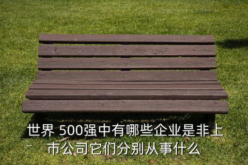  世界 500強(qiáng)中有哪些企業(yè)是非上市公司它們分別從事什么