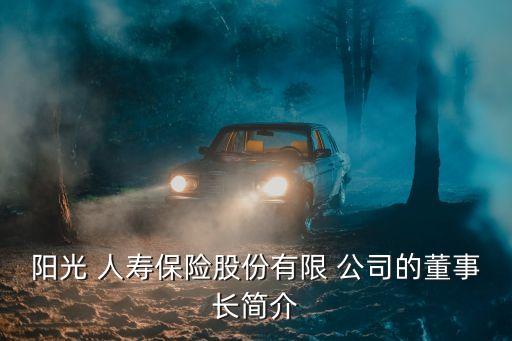 陽光 人壽保險(xiǎn)股份有限 公司的董事長簡介