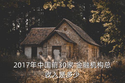 2017年中國(guó)前30家 金融機(jī)構(gòu)總收入是多少