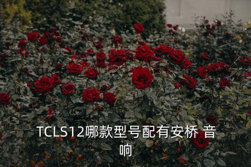  TCLS12哪款型號(hào)配有安橋 音響