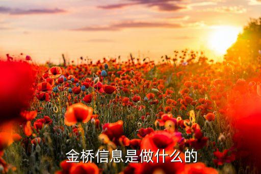 長(zhǎng)城金橋金融咨詢(xún)有限公司