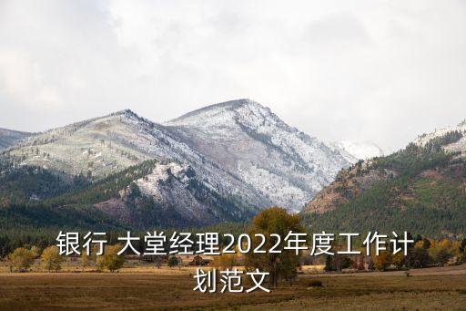  銀行 大堂經(jīng)理2022年度工作計(jì)劃范文