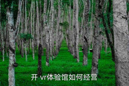 開 vr體驗(yàn)館如何經(jīng)營