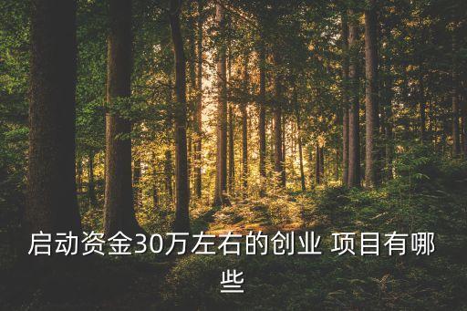 30萬(wàn)上下投資什么項(xiàng)目,我有30萬(wàn)應(yīng)該投資什么