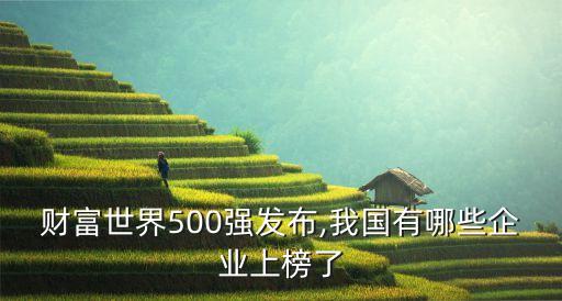 財富世界500強(qiáng)發(fā)布,我國有哪些企業(yè)上榜了