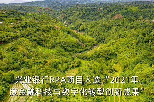 興業(yè)銀行RPA項目入選“2021年度金融科技與數(shù)字化轉型創(chuàng)新成果”