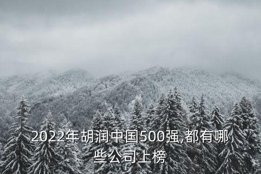 2022年胡潤中國500強(qiáng),都有哪些公司上榜